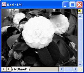 ImgRGBmerge help English files image004.jpg