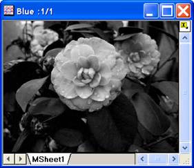 ImgRGBmerge help English files image008.jpg