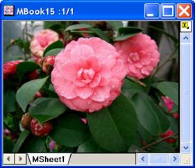 ImgRGBmerge help English files image010.jpg