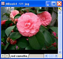 Image:imgRGBsplit_help_English_files_image004.jpg Image:imgRGBsplit_help_English_files_image004.jpg