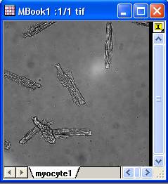 ImgReplaceBg help English files image004.jpg