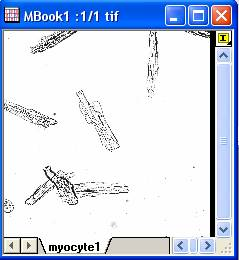 Image:imgReplaceBg_help_English_files_image006.jpg Image:imgReplaceBg_help_English_files_image006.jpg