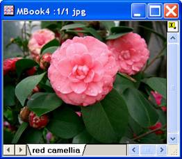 Image:imgSaturation_help_English_files_image004.jpg Image:imgSaturation_help_English_files_image004.jpg