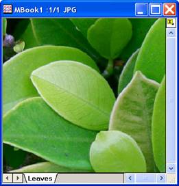 ImgSharpen help English files image004.jpg