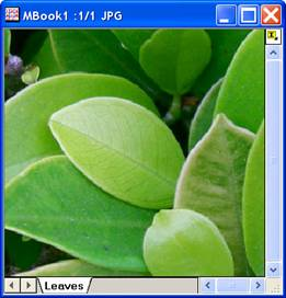 Image:imgSharpen_help_English_files_image004.jpg Image:imgSharpen_help_English_files_image004.jpg