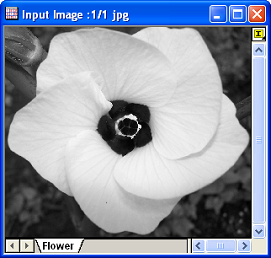 Image:BKSubMethod2Input.png Image:BKSubMethod2Input.png