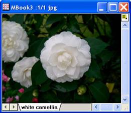 Image:imgHisteq_help_English_files_image004.jpg
