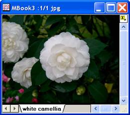 Image:imgLevel_help_English_files_image004.jpg
