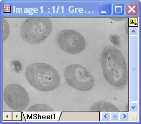 Image:imgSimpleMath_help_English_files_image004.jpg Image:imgSimpleMath_help_English_files_image004.jpg