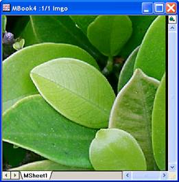 Image:imgUnsharpmask_help_English_files_image006.jpg Image:imgUnsharpmask_help_English_files_image006.jpg