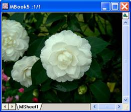 Image:imgColorlevel_help_English_files_image008.jpg Image:imgColorlevel_help_English_files_image008.jpg