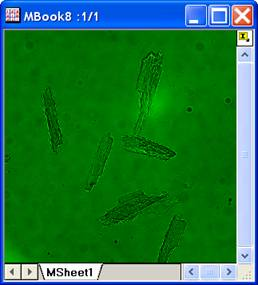 Image:imgPalette_help_English_files_image006.jpg Image:imgPalette_help_English_files_image006.jpg