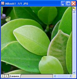 Image:imgUnsharpmask_help_English_files_image004.jpg Image:imgUnsharpmask_help_English_files_image004.jpg